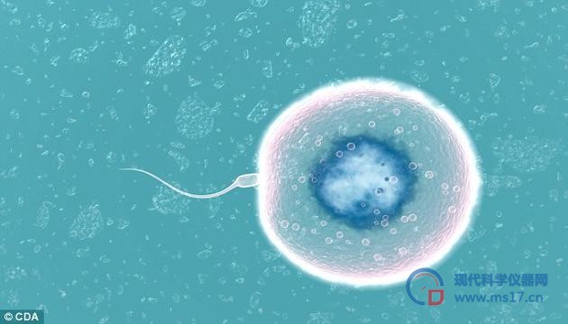 该项目主管戴夫·史密斯博士表示:“这项技术将有望彻底革新不孕症治疗手段。”