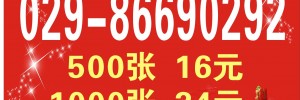 曹琦