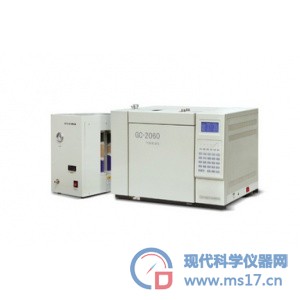 GC-2060非甲烷总烃色谱分析仪