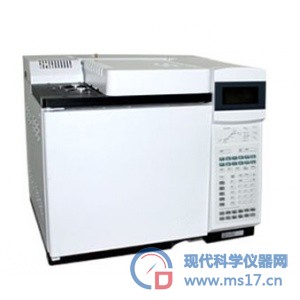 实验室高端气相色谱仪GC6891N