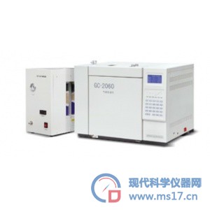 GC-2060非甲烷总烃色谱分析仪