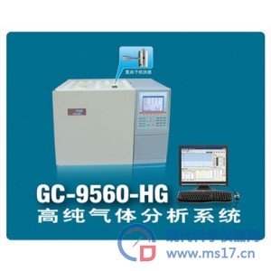 高纯气体分析系统GC-9560-PDD
