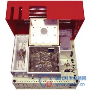 美国SRI 8610C气相色谱仪(环境气体分析）