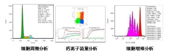 流式分析软件FlowJo