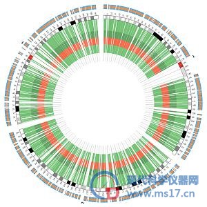 提供基因芯片数据生物信息学富集分析服务