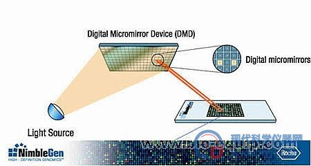 DNA甲基化芯片技术服务