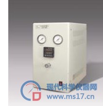 氢气提纯仪 Pd-300