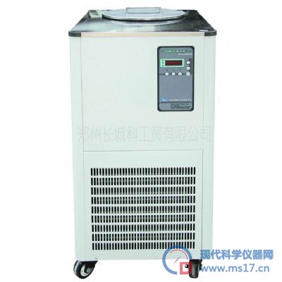 DLSB-10L/-30℃ 20L/-30℃ 30L/-30℃ 50L/-30℃ 80L/-30℃ 100L/-30℃低温冷却液循环泵