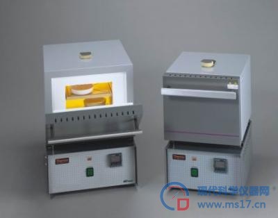 美国Thermo Scientific Barnstead马弗炉