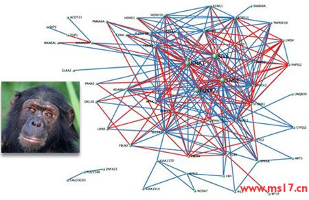 人口生物学_生物学③必修6.1 人口增长对生态环境的影响 ppt课件(3)