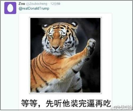 特朗普推特称不要潜航器 中国网友发表情包回击