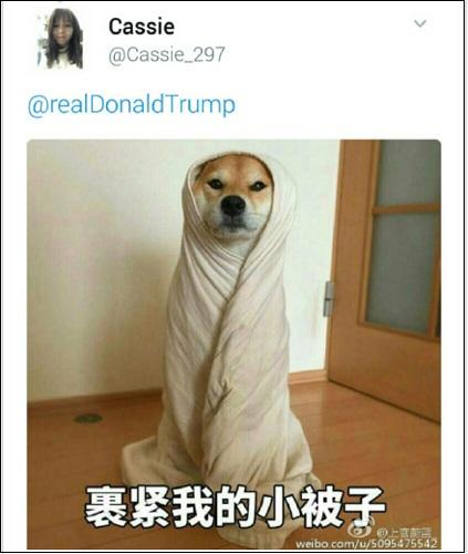特朗普推特称不要潜航器 中国网友发表情包回击